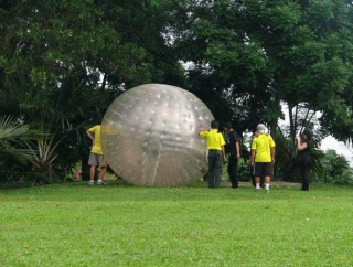 pelota para practicar zorbing